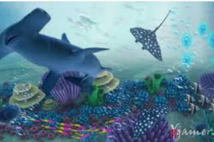 大满贯app2024最新版